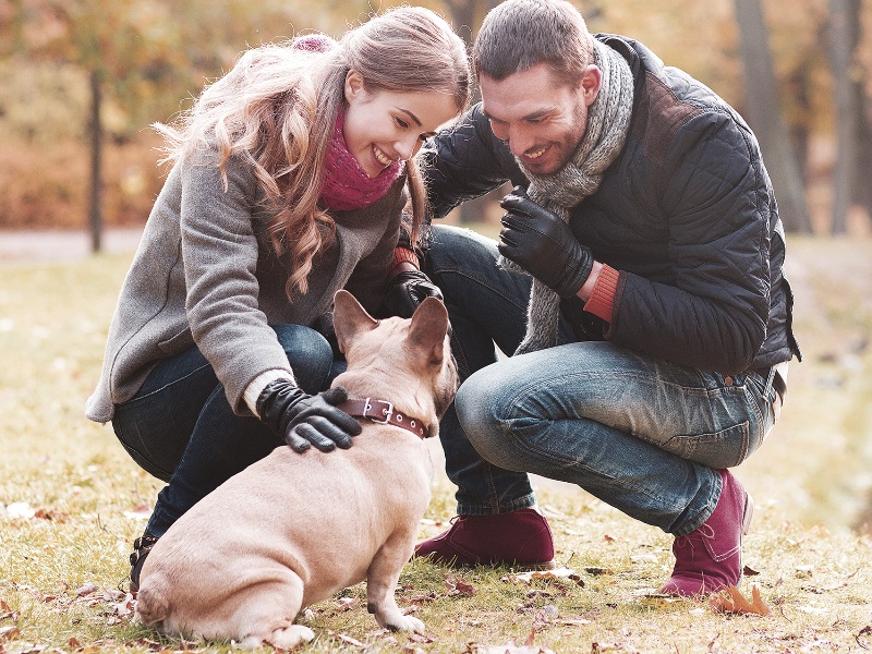 Dogs- Humans Best Friends